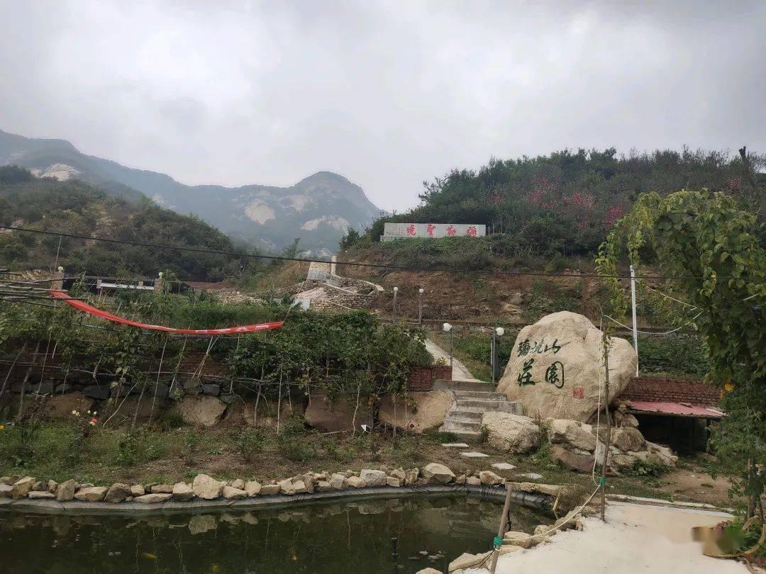 逃离诡异的森林
